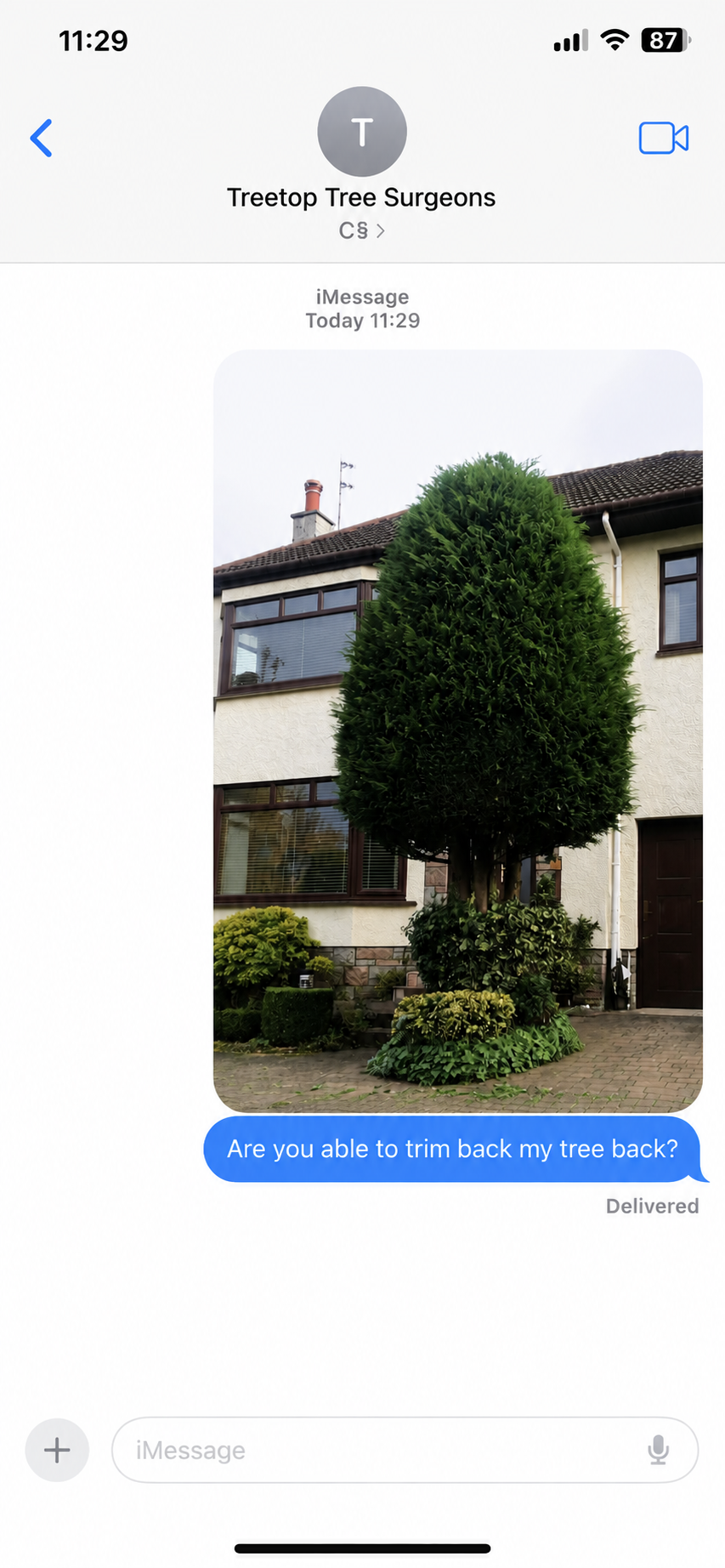 Message a customer sent Treetop: a photo of a large evergreen tree with the question “Are you able to trim back my tree?”